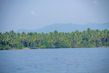 Island background filled with green trees with blue sea water