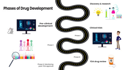 The different phases of drug development