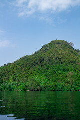 Island background filled with green trees with blue sea water