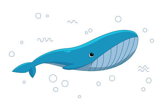 Blue whale in sea. Representatives of underwater world and wild underwater animals. Characters for kids, design element for clothes print. Ocean residents concept. Cartoon flat vector illustration