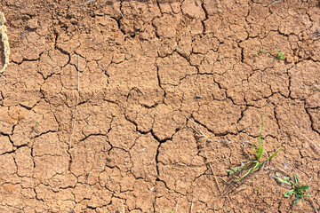 Dry mud cracked ground texture. Drought season background. Dry and cracked land, dry due to lack of rain. Effects of climate change.