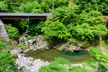 Fototapeta premium 徳島県は坂州木頭川を四季美谷温泉から見る