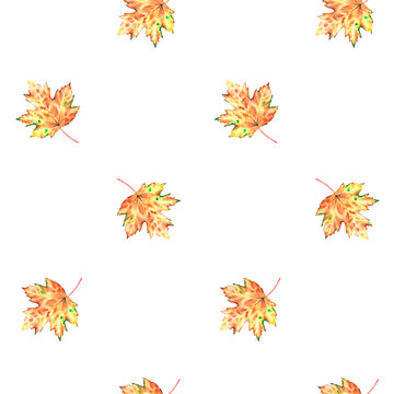 Autumn maple leaf seamless pattern. Watercolor vintage illustration. Isolated on a white background.
