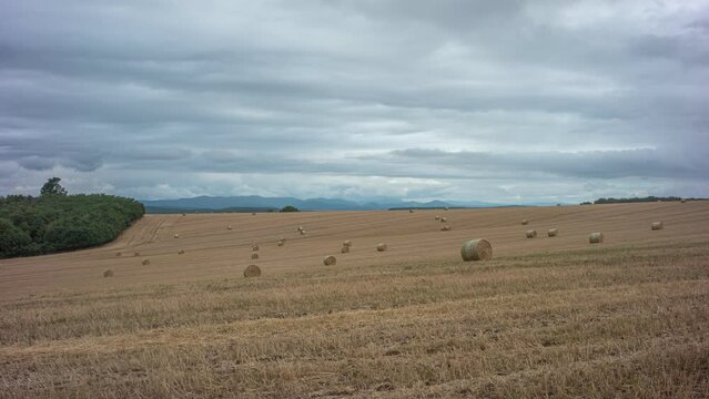 This is a field with straw bales after harvest at sunset.