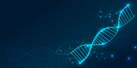 DNA. Abstract 3d polygonal wireframe DNA molecule helix spiral on blue. Medical science, genetic biotechnology, chemistry biology