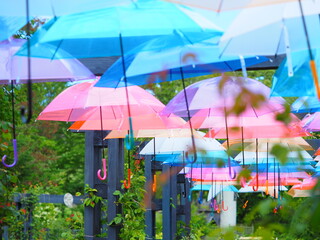 北海道の絶景 えこりん村のアンブレラスカイ