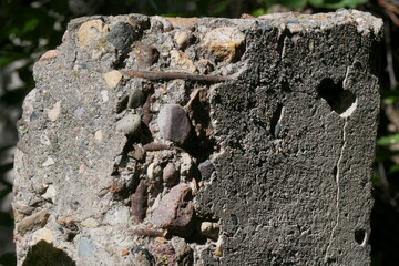 Concrete pillar, metal reinforcement on the chipped edge