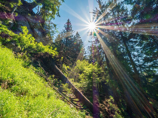 Hiking Path with a view bottom up to sunshine during a clear blue sky day