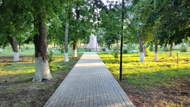 Walk in the summer park, first-person view with the ambient sounds