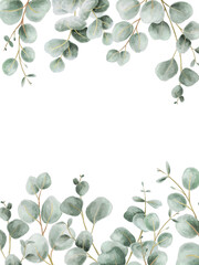Green leaves eucalyptus border frame, greenery arrangement