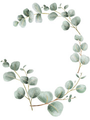 Watercolor eucalyptus wreath