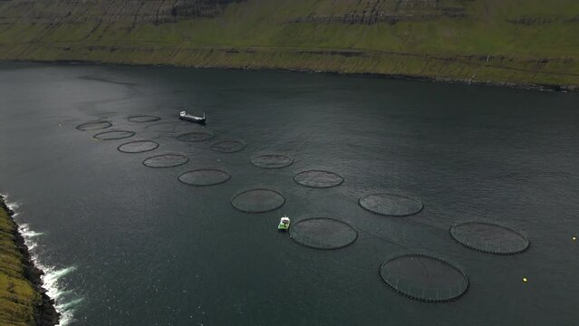 Salmon Cages in the Faroe Islands by Drone