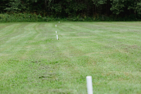 Out Of Bouds White Sticks At The Disc Golf Course