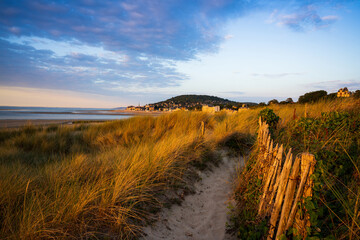 Paysage plage 501