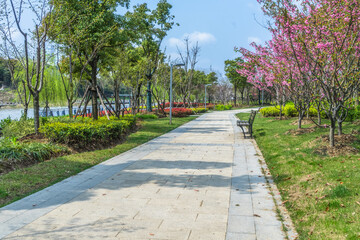 beautiful park at a sunny day, shanghai, china.