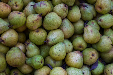 Full frame of Bartlett Pears. Fresh pears ready for sale