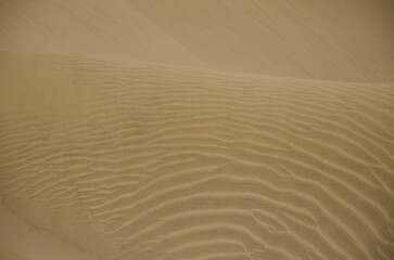 Sand dunes in the Special Natural Reserve of the Maspalomas Dunes. San Bartolome de Tirajana. Gran Canaria. Canary Islands. Spain.