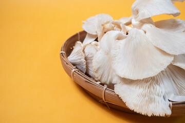 Oyster mushrooms (Pleurotus ostreatus) are mushrooms that usually live on dead tree trunks and can be consumed as food