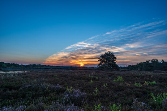 sunrise in the heath with blue sky and some clouds