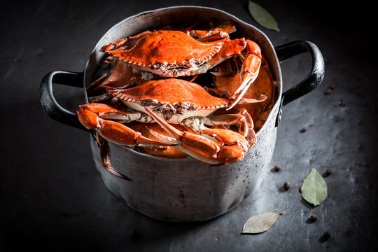 Preparation for tasty red crabs in old rustic metal pot.