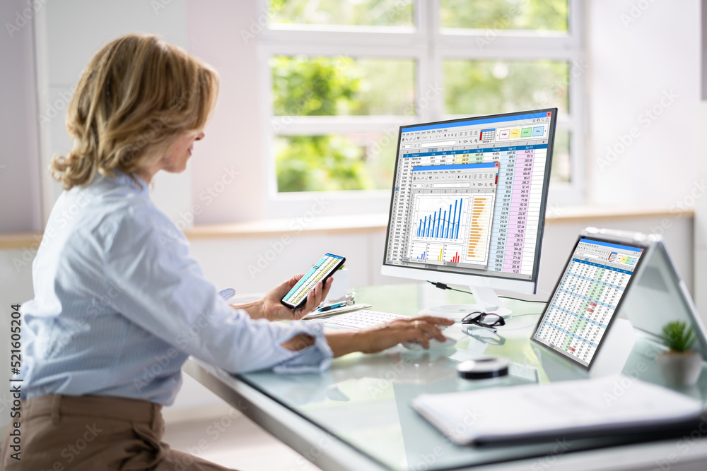 Poster financial analyst using spreadsheet software