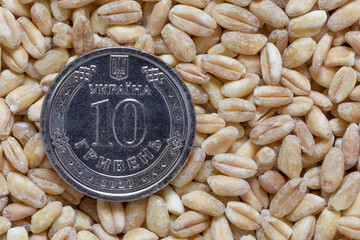 Ukrainian hrivnya coin lying on heap of wheat grains