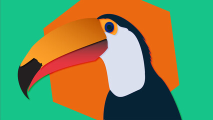 toucan on a green background illustrations 