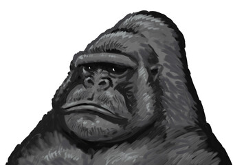 ゴリラ