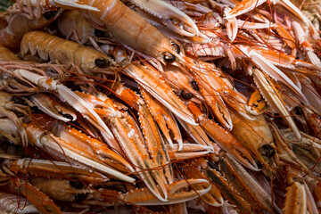 Closeup of raw wild red shrimps/prawns for cooking. Delicious food. Keto / Paleo Diet.