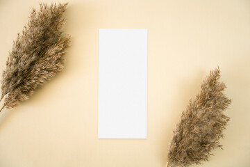 Mockup menu card with with pampas grass on beige background
