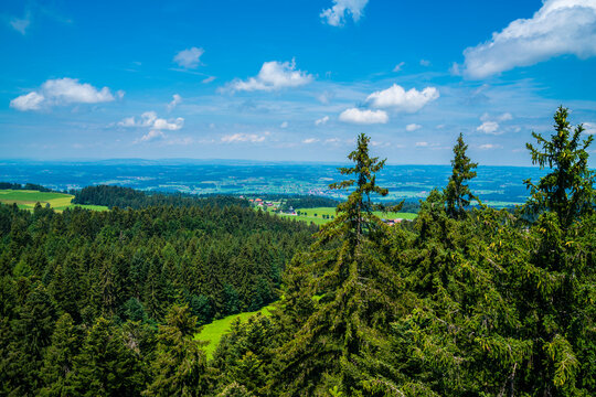 Germany, Panorama view above forest tree tops and green nature landscape of allgäu hiking paradise