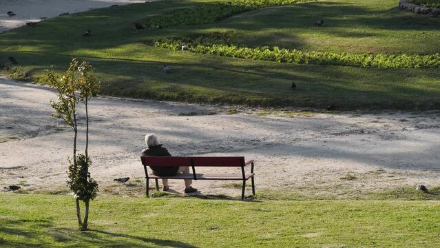 Back view of single senior man resting in a park. Unrecognizable old person sitting on a bench.