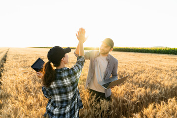 Farmers man and woman with tablet and laptop high five in wheat field at sunset