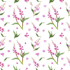 Digital  seamless pattern with colorful wild fireweed flower and leaves . White background.