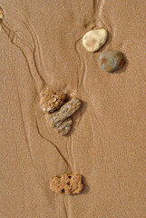 Fototapeta na wymiar Close Up of Small Isolated Stones on Wet Sandy Beach