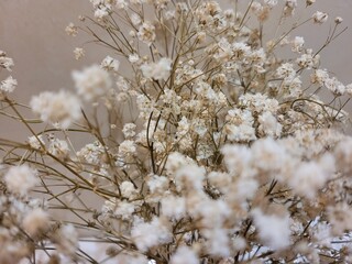 Dried white flowers. Nordic decoration. Calm and serenity feeling.
