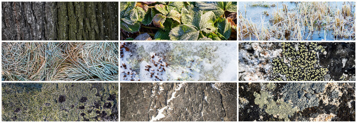 Set of natural textures. Nature objects close-up: trunks and bark of trees, foliage of plants, surface of stones, grass and lichen, hoarfrost and snow. Collection of panoramic backgrounds for design.