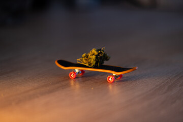 Cannabis on the fingerboard,like a little skate for fingers, with a soft light. Smoking culture...