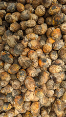 Betel nuts or Areca nuts piled up and spread on the floor for drying 