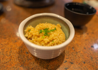 plain garlic rice with onion 