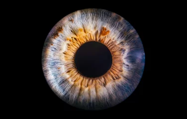 Schilderijen op glas eye iris © Lorant