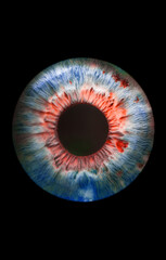 eye iris