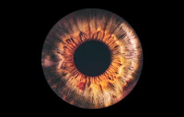 Fotobehang eye iris © Lorant