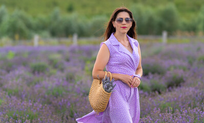 Elegant woman posing in a field of lavender flowers