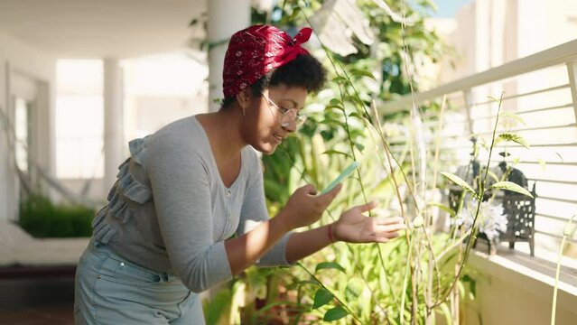 African american woman make photo to plant by smartphone at home terrace