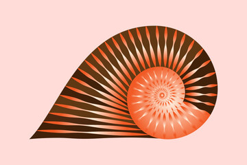 Nautilus shell symbol. Textured nautilus conch. Vector illustration