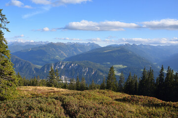 Fototapeta na wymiar Hochmoor auf der Rossbrandhöhe in Österreich
