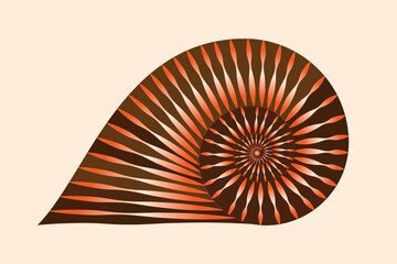 Nautilus shell isolated. Textured nautilus conch. Vector illustration