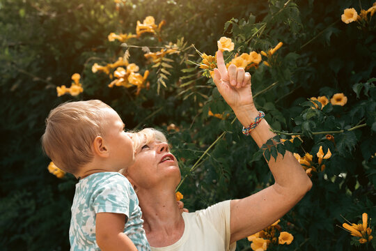 Grandmother and child outdoor laughing in gurden with flowers. Senior and boy together generation happiness vitality concept