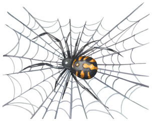 Spider karakurt on the web